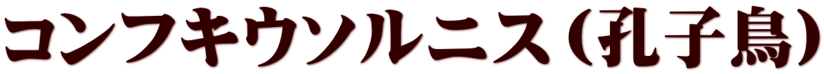 コンフキウソルニス（孔子鳥）