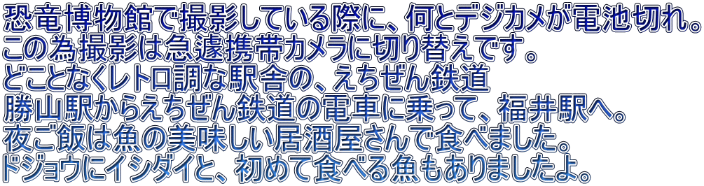 恐竜博物館で撮影している際に、何とデジカメが電池切れ。 この為撮影は急遽携帯カメラに切り替えです。 どことなくレトロ調な駅舎の、えちぜん鉄道 勝山駅からえちぜん鉄道の電車に乗って、福井駅へ。 夜ご飯は魚の美味しい居酒屋さんで食べました。 ドジョウにイシダイと、初めて食べる魚もありましたよ。