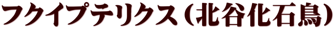 フクイプテリクス（北谷化石鳥）