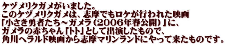 ケヅメリクガメがいました。 このケヅメリクガメは、志摩でもロケが行われた映画 「小さき勇者たち～ガメラ（２００６年春公開）」に、 ガメラの赤ちゃん「トト」として出演したもので、 角川ヘラルド映画から志摩マリンランドにやって来たものです。 