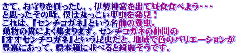 さて、お守りを買ったし、、伊勢神宮を出て昼食食べよう・・・ と思ったその時、僕は丸っこい甲虫を発見！ これは、「センチコガネ」という名前の糞虫。 動物の糞によく集まります。センチコガネの仲間の 「オオセンチコガネ」という昆虫だと、地域で色のバリエーションが 豊富にあって、標本箱に並べると綺麗そうです。
