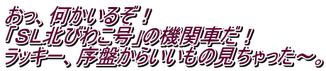 おっ、何かいるぞ！ 「ＳＬ北びわこ号」の機関車だ！ ラッキー、序盤からいいもの見ちゃった～。
