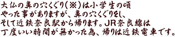 大仏の鼻の穴くぐり（※）は小学生の頃 やった事がありますが、鼻の穴くぐりをし、 そして近鉄奈良駅から帰ります。ＪＲ奈良線は 丁度いい時間が無かった為、帰りは近鉄電車です。 