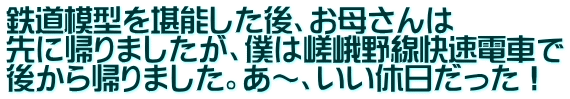 鉄道模型を堪能した後、お母さんは 先に帰りましたが、僕は嵯峨野線快速電車で 後から帰りました。あ～、いい休日だった！
