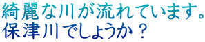 綺麗な川が流れています。 保津川でしょうか？