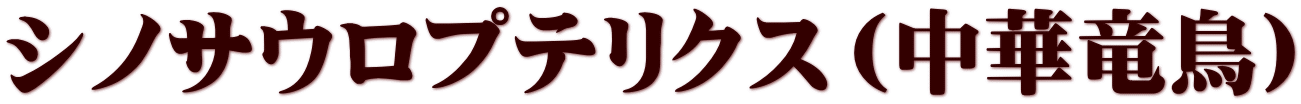 シノサウロプテリクス（中華竜鳥）
