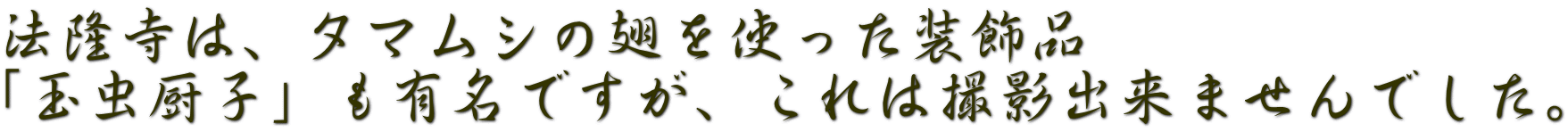 法隆寺は、タマムシの翅を使った装飾品 「玉虫厨子」も有名ですが、これは撮影出来ませんでした。