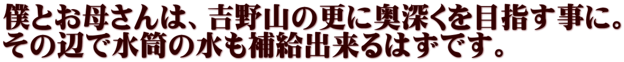 僕とお母さんは、吉野山の更に奥深くを目指す事に。 その辺で水筒の水も補給出来るはずです。